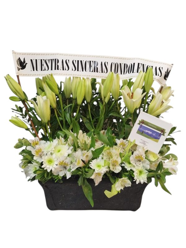 Condolencia San Pedro